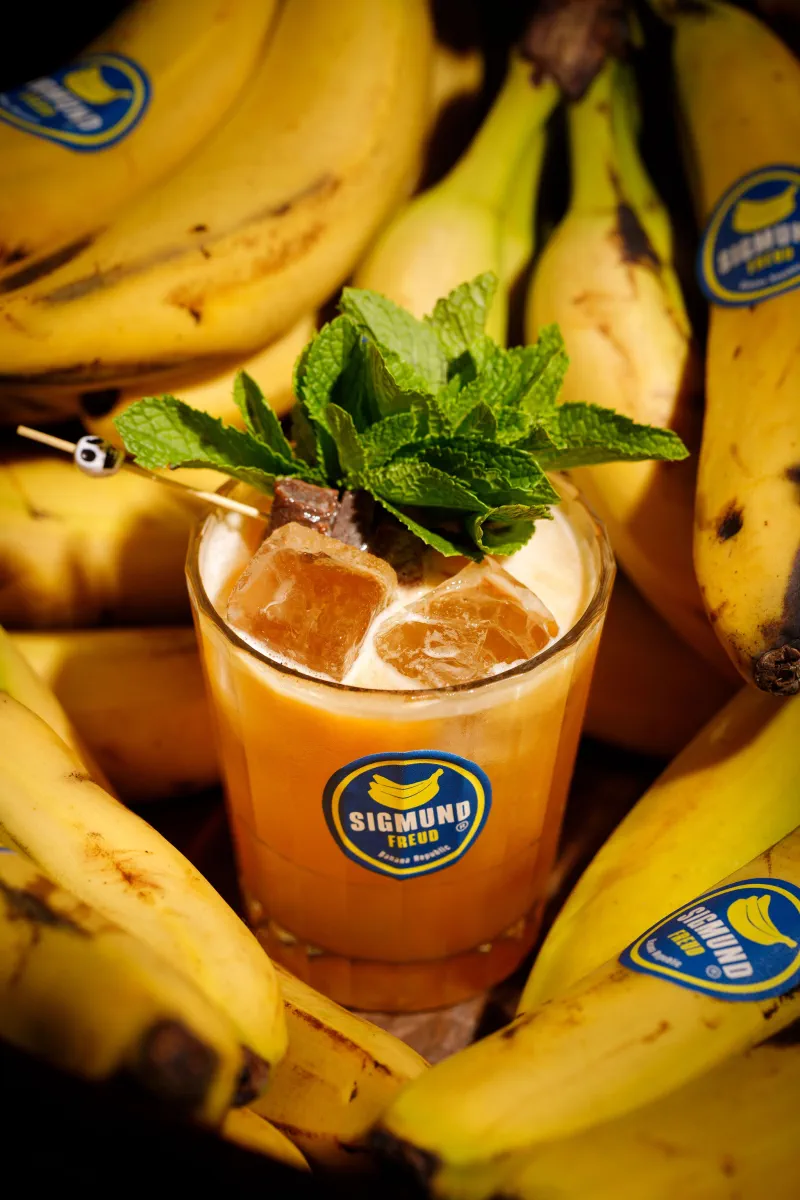 Sigmund Freud Bar image 16