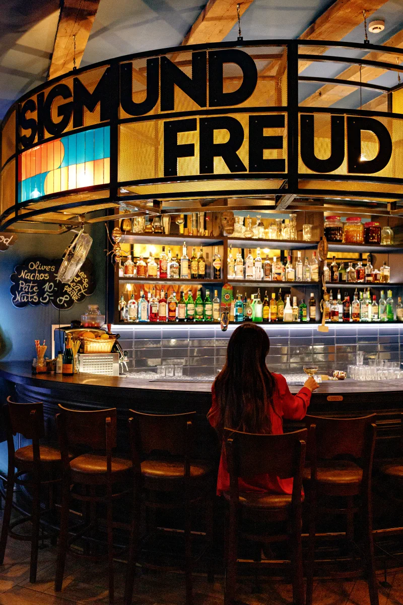 Sigmund Freud Bar image 1