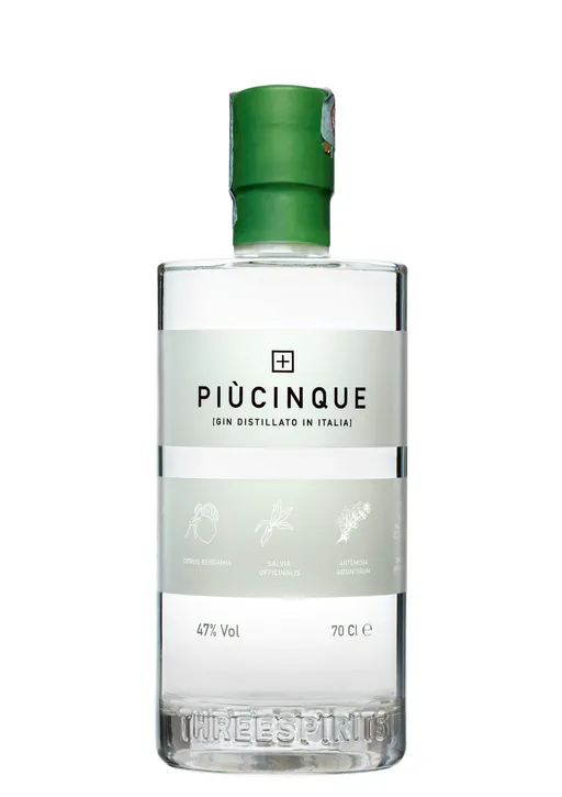 Gin Piùcinque image