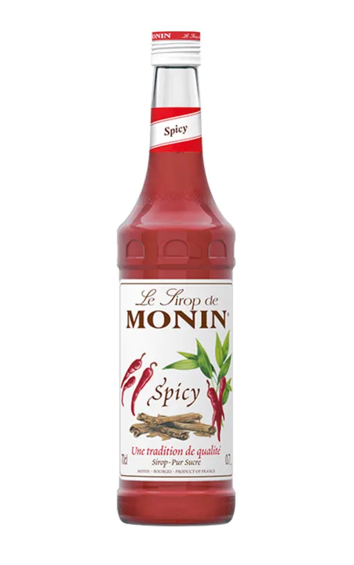 Monin Spicy Syrup image