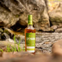 Speyburn 10 Year Old image