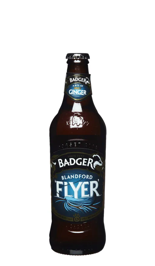 Badger Blandford Flyer image