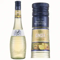 Bols Ginger Liqueur image