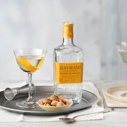 Hayman's Vibrant Citrus Gin image