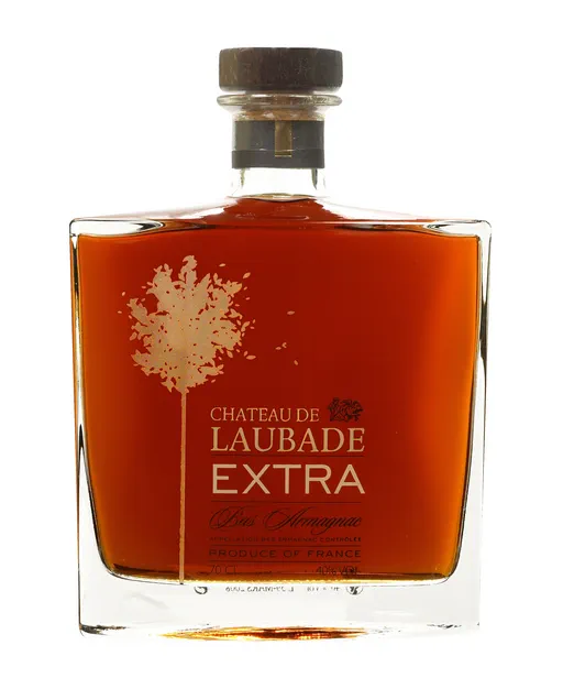 Chateau de Laubade Extra image