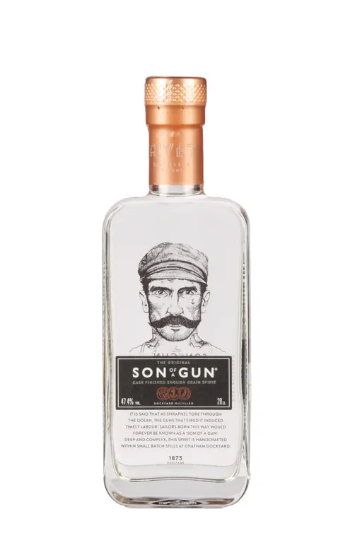 Son Of A Gun image
