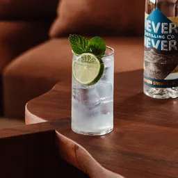 Never Never Southern Strength Gin image