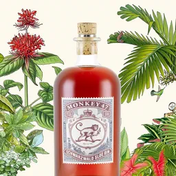 Monkey 47 Sloe Gin image
