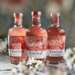 Everleaf Mountain image