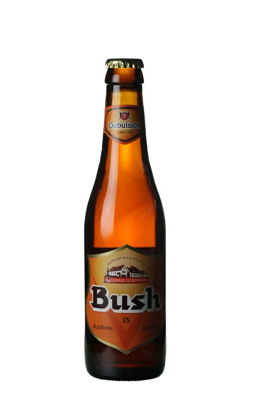 Dubuisson Bush Amber image