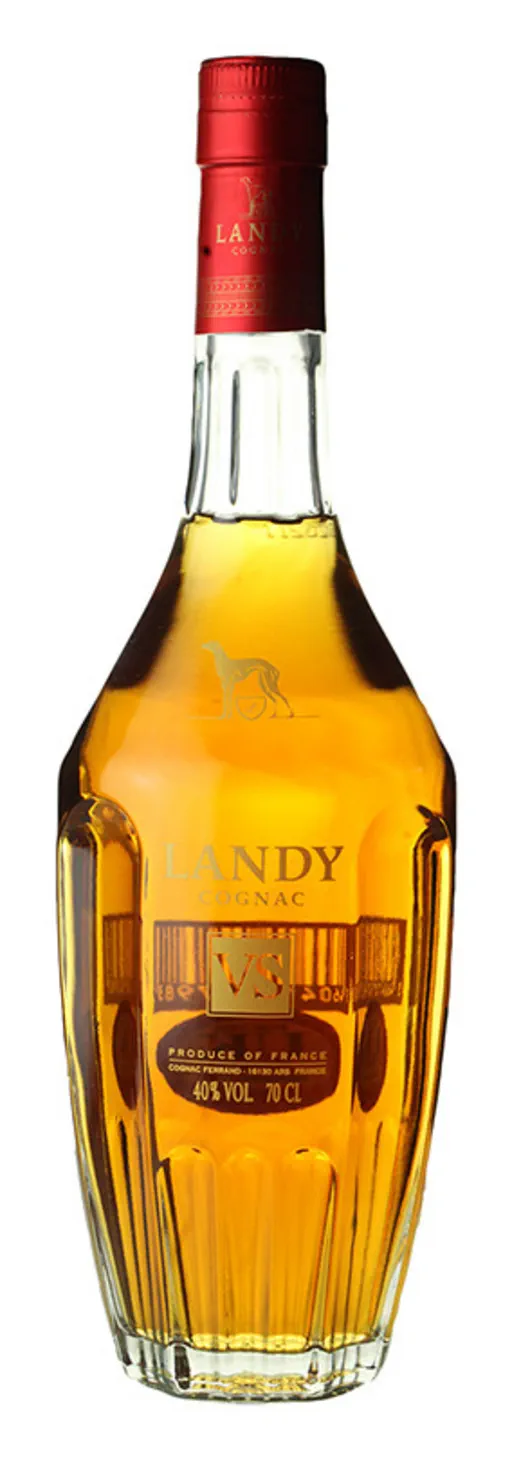 Landy VS image