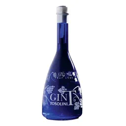 Bepi Tosolini GinT image