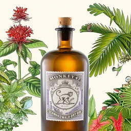 Monkey 47 Gin image