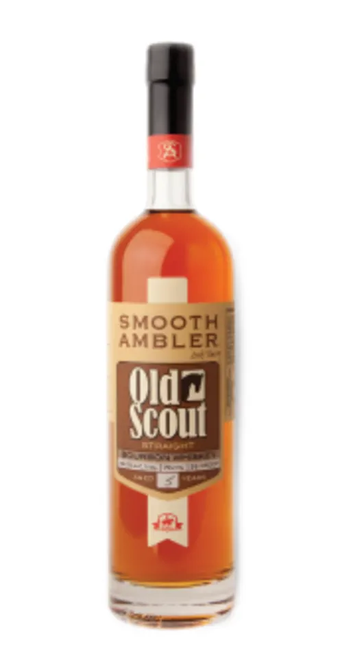 Smooth Ambler 5 Year Old Scout image