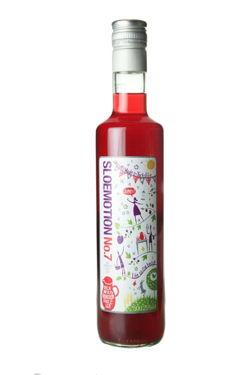SLOEmotion No.7 image