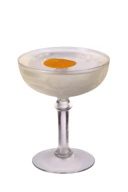 Snyder Martini image