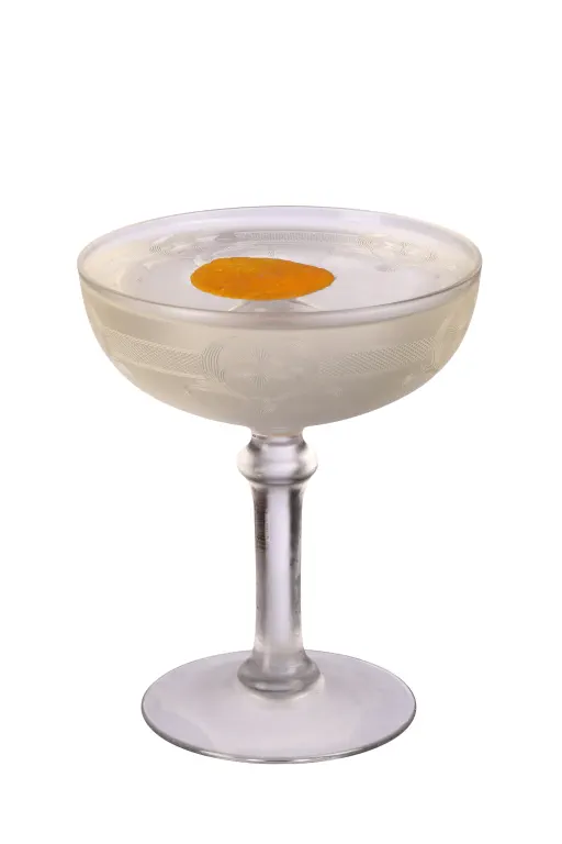 Snyder Martini Image