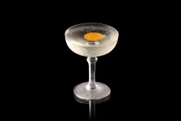 Snyder Martini lifestyle thumbnail