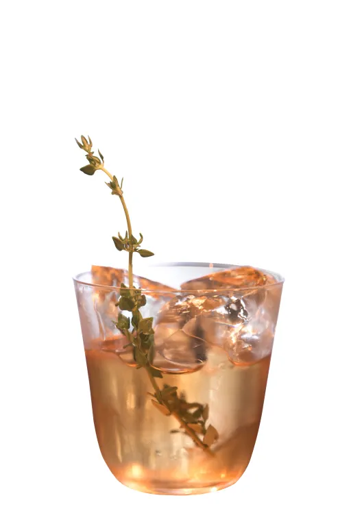 The Veiled Lady Image