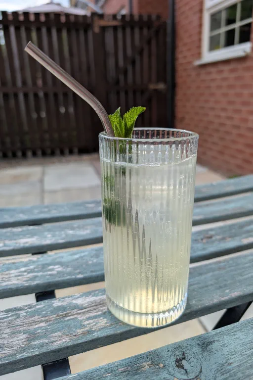 High Pirate of the Trees Image