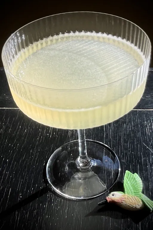 The Hummingbird's Wing Image