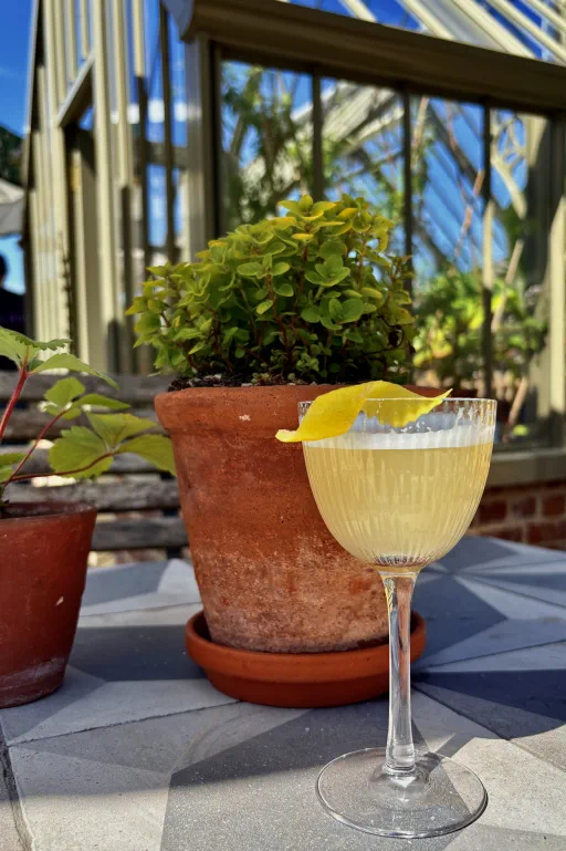 The Queens knees Image