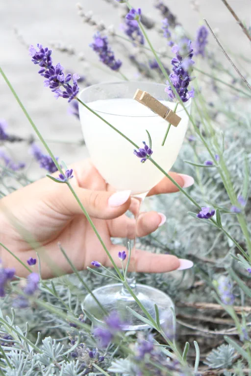 Andreino and his Daiquiri Image