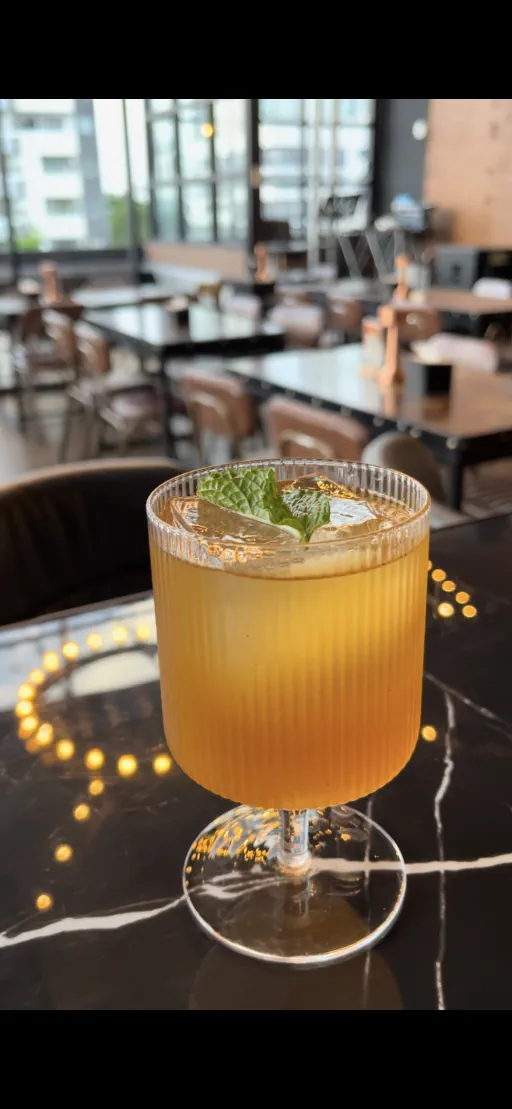 Disgo in Molam beat Image