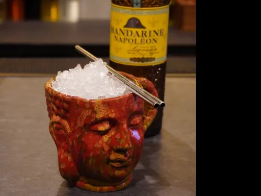 Napoleon at the Tropic Image