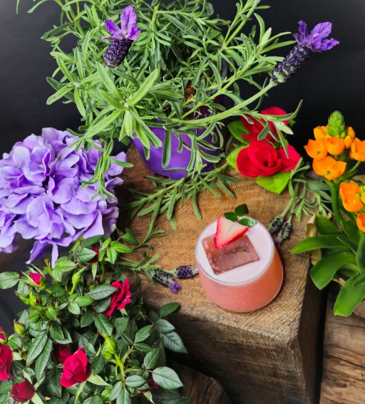 Ladybug On Holiday Image