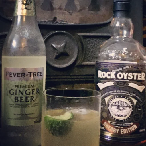 Rocky and Stormy Image