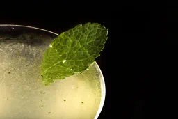 Detroit Martini No. 2  lifestyle thumbnail