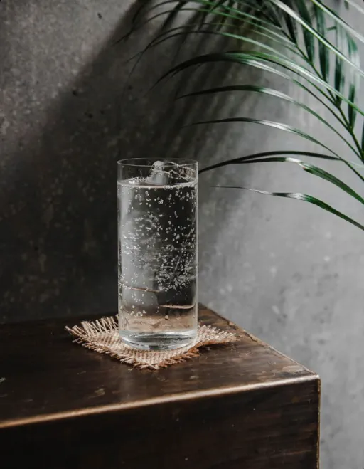 Fig Leaf & Tonic