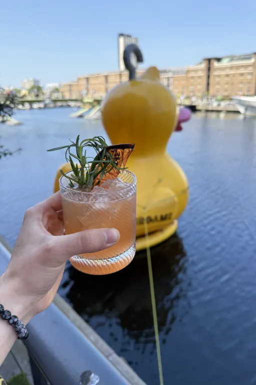 Citrus got real Image