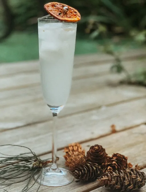 Forest Fizz with Pine Candied Lemon Image