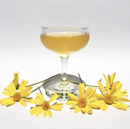 No Words, I'm Drinking Image