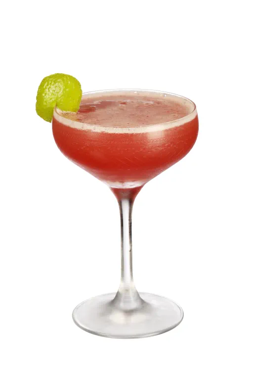 Gypsy Gentleman Image