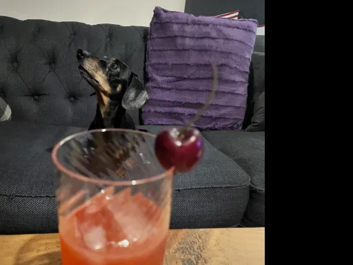 Treacle's Cherry Nose