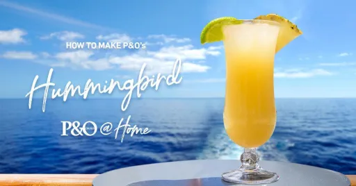 P&O Hummingbird Image