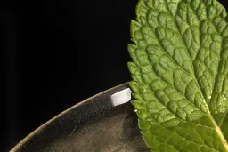 Jasmine & Elderflower Martini lifestyle thumbnail