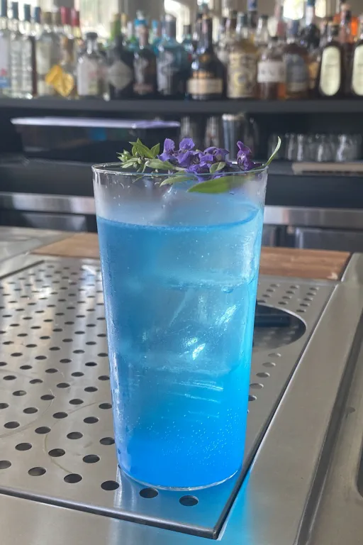 Ocean of Lights Image