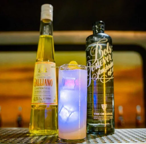 Disco Paradise Image