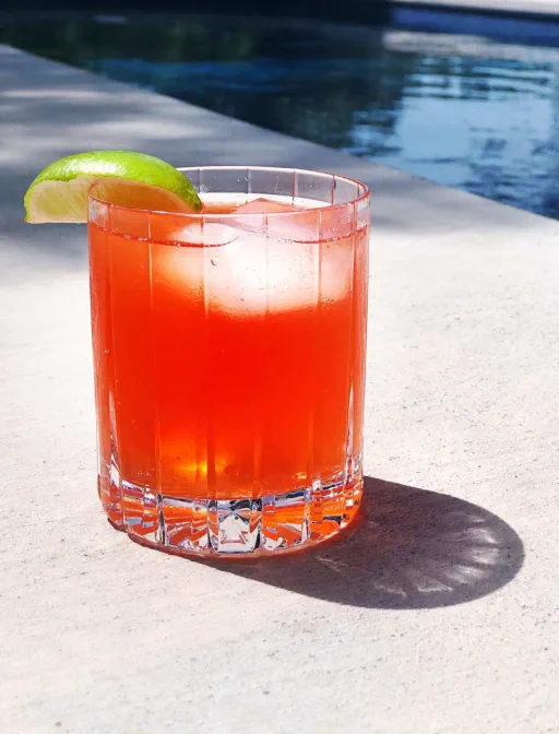 Aperol & Rhubarb Fizz Image