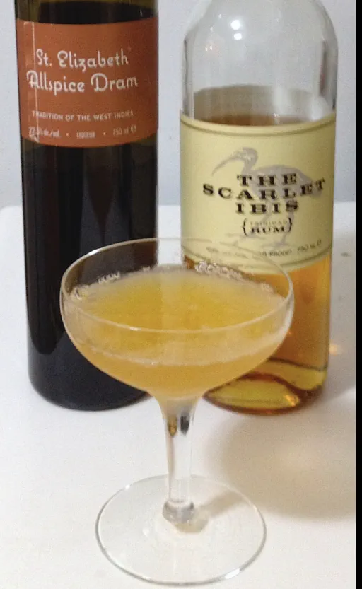 Drunken Dodo DC Image