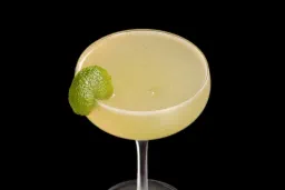 Dublin Minstrel lifestyle thumbnail