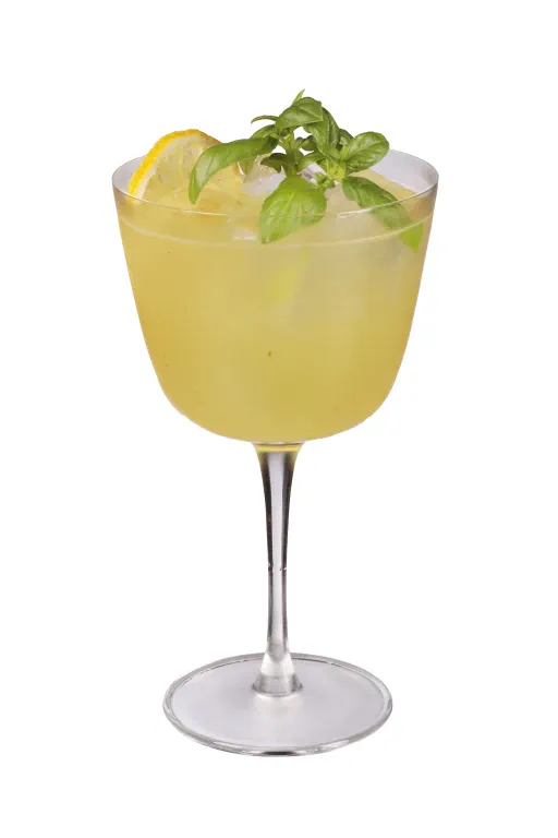 Limone & Basilico Spritz Image