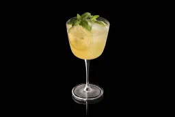 Limone & Basilico Spritz lifestyle thumbnail