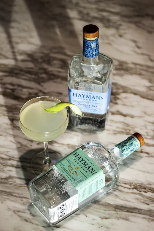 W.I.P. (Will In Progress) Image