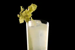 Loop Tonic lifestyle thumbnail