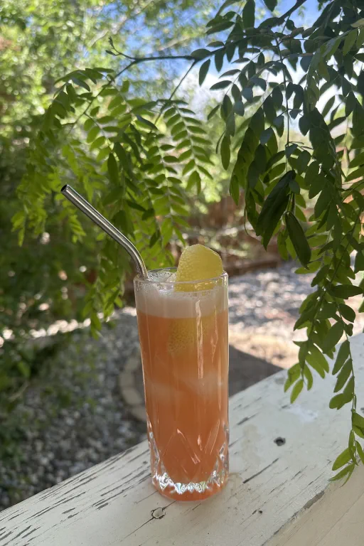 Goose Juice Image